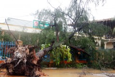 Gần 11.000 tỷ đồng thiệt hại do bão Wutip